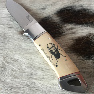 �G���O���[�u�@�J�X�^���i�C�t